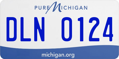 MI license plate DLN0124