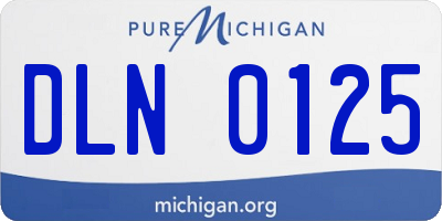MI license plate DLN0125
