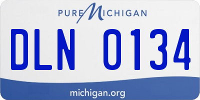 MI license plate DLN0134