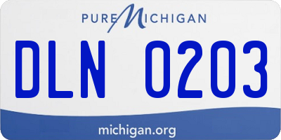 MI license plate DLN0203