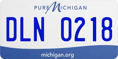 MI license plate DLN0218