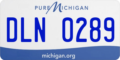MI license plate DLN0289
