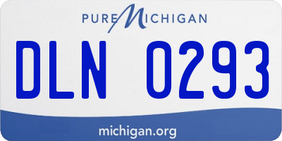 MI license plate DLN0293