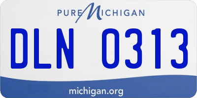 MI license plate DLN0313