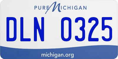 MI license plate DLN0325