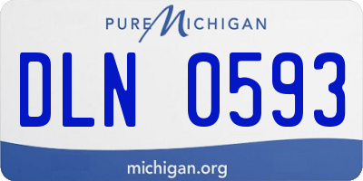 MI license plate DLN0593