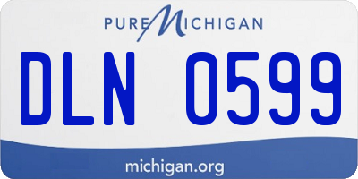 MI license plate DLN0599