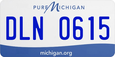 MI license plate DLN0615