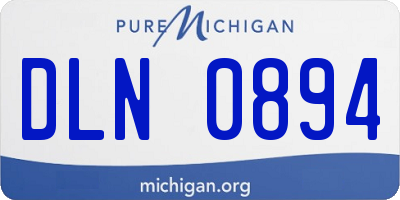 MI license plate DLN0894