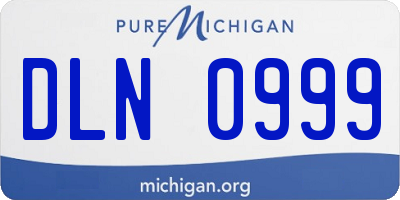 MI license plate DLN0999