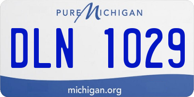 MI license plate DLN1029