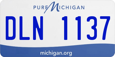 MI license plate DLN1137