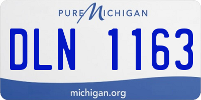 MI license plate DLN1163
