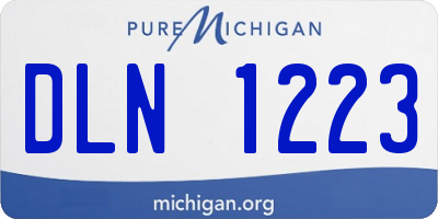 MI license plate DLN1223