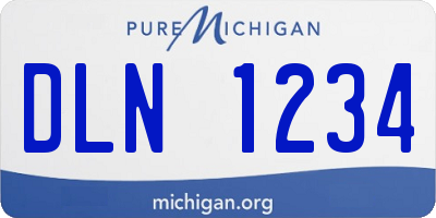MI license plate DLN1234