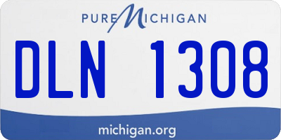 MI license plate DLN1308