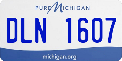 MI license plate DLN1607