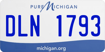 MI license plate DLN1793