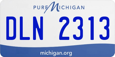 MI license plate DLN2313
