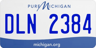 MI license plate DLN2384