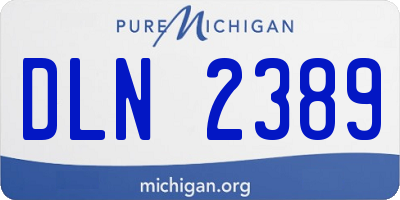 MI license plate DLN2389