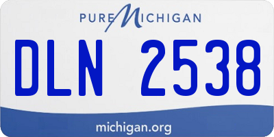 MI license plate DLN2538