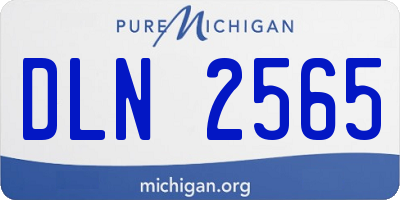 MI license plate DLN2565