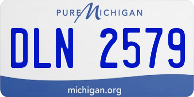 MI license plate DLN2579