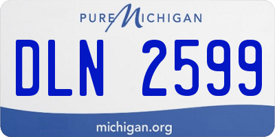 MI license plate DLN2599