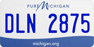 MI license plate DLN2875