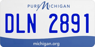 MI license plate DLN2891