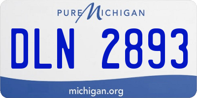 MI license plate DLN2893