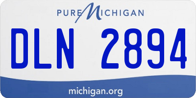 MI license plate DLN2894