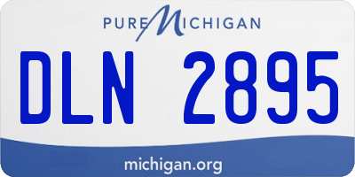 MI license plate DLN2895