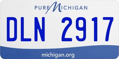 MI license plate DLN2917