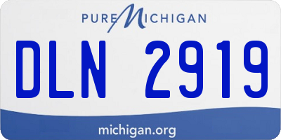 MI license plate DLN2919