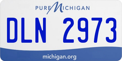 MI license plate DLN2973