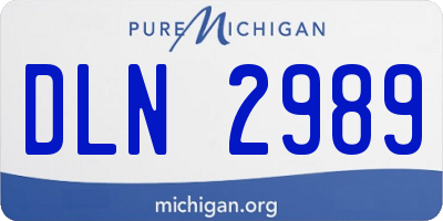 MI license plate DLN2989