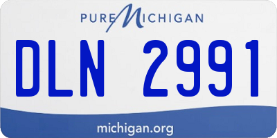 MI license plate DLN2991