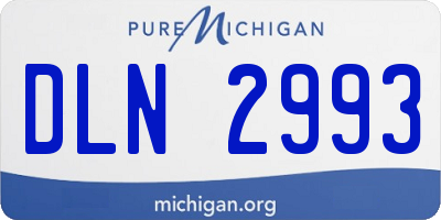 MI license plate DLN2993