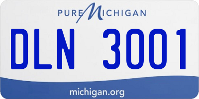 MI license plate DLN3001