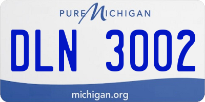 MI license plate DLN3002