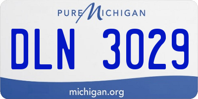 MI license plate DLN3029