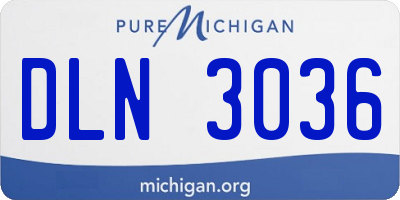 MI license plate DLN3036