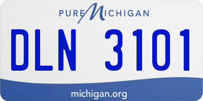 MI license plate DLN3101