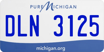 MI license plate DLN3125