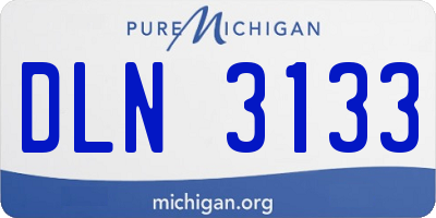 MI license plate DLN3133