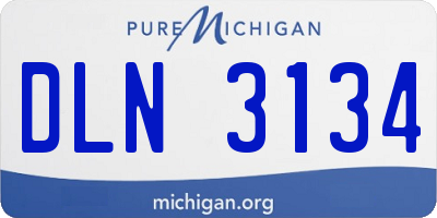 MI license plate DLN3134