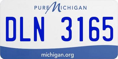 MI license plate DLN3165