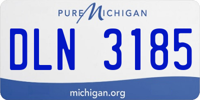 MI license plate DLN3185